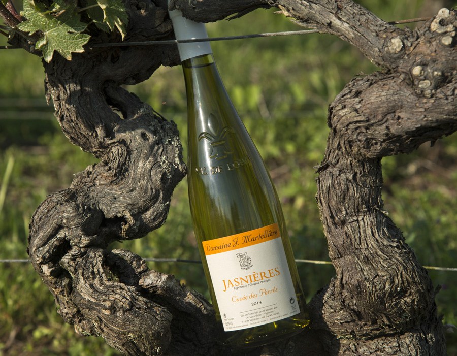 AOC JASNIERES - Cuvée des Perrés