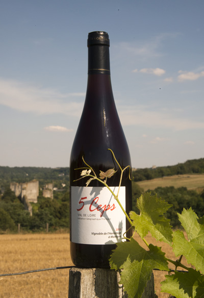 I.G.P. Val de Loire Rouge - Cuvée 5 ceps