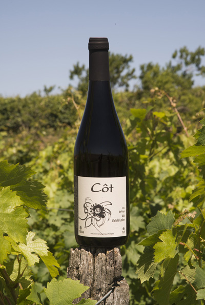 I.G.P. Val de Loire Rouge - Côt